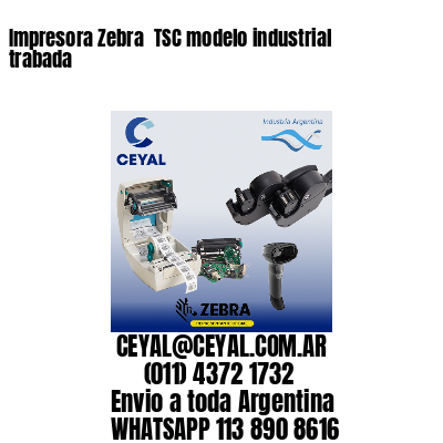 Impresora Zebra  TSC modelo industrial trabada