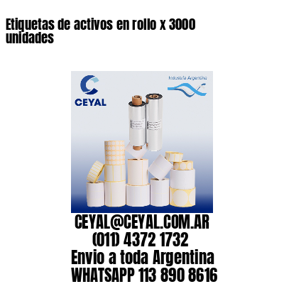 Etiquetas de activos en rollo x 3000 unidades