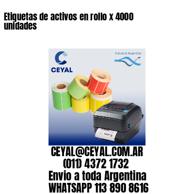 Etiquetas de activos en rollo x 4000 unidades