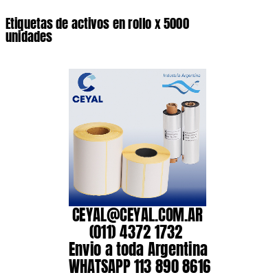 Etiquetas de activos en rollo x 5000 unidades