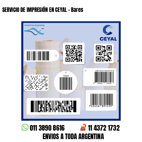 SERVICIO DE IMPRESIÓN EN CEYAL - Bares