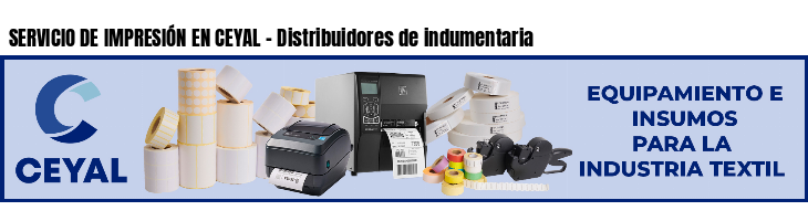 SERVICIO DE IMPRESIÓN EN CEYAL - Distribuidores de indumentaria