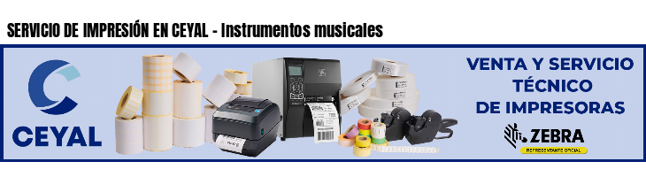 SERVICIO DE IMPRESIÓN EN CEYAL - Instrumentos musicales