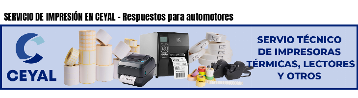 SERVICIO DE IMPRESIÓN EN CEYAL - Respuestos para automotores