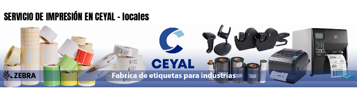 SERVICIO DE IMPRESIÓN EN CEYAL - locales