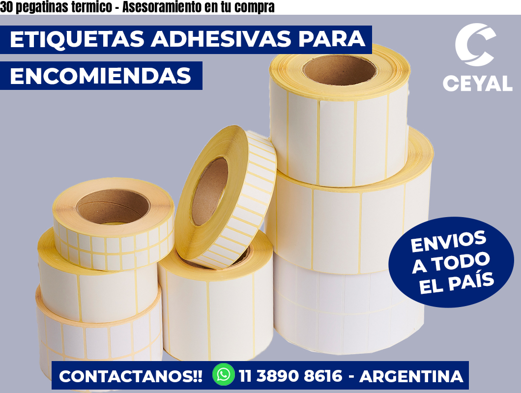 30 pegatinas termico – Asesoramiento en tu compra