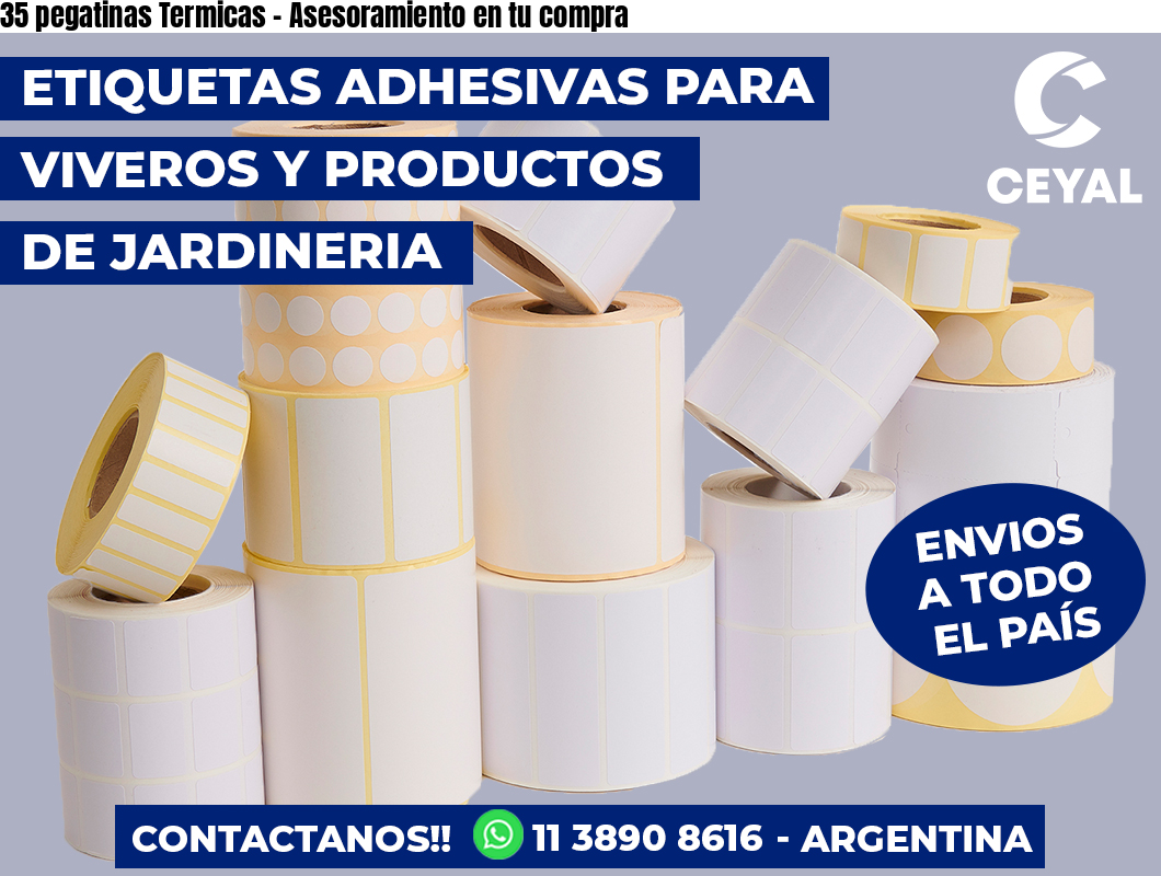 35 pegatinas Termicas – Asesoramiento en tu compra