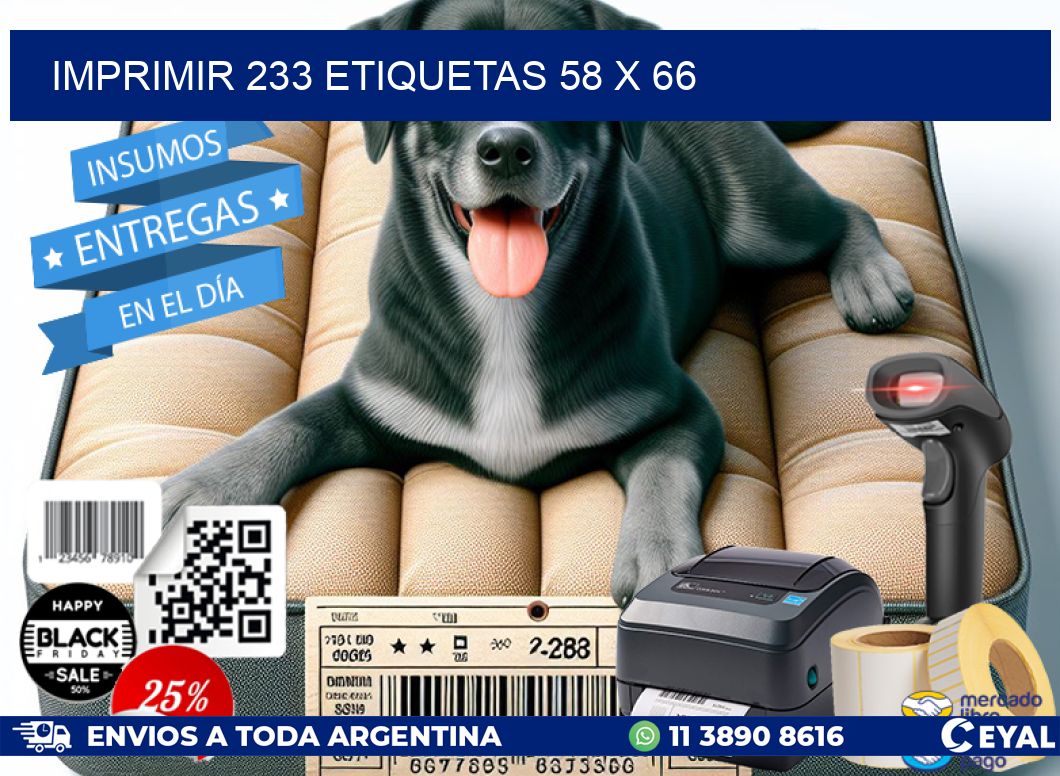 IMPRIMIR 233 ETIQUETAS 58 x 66