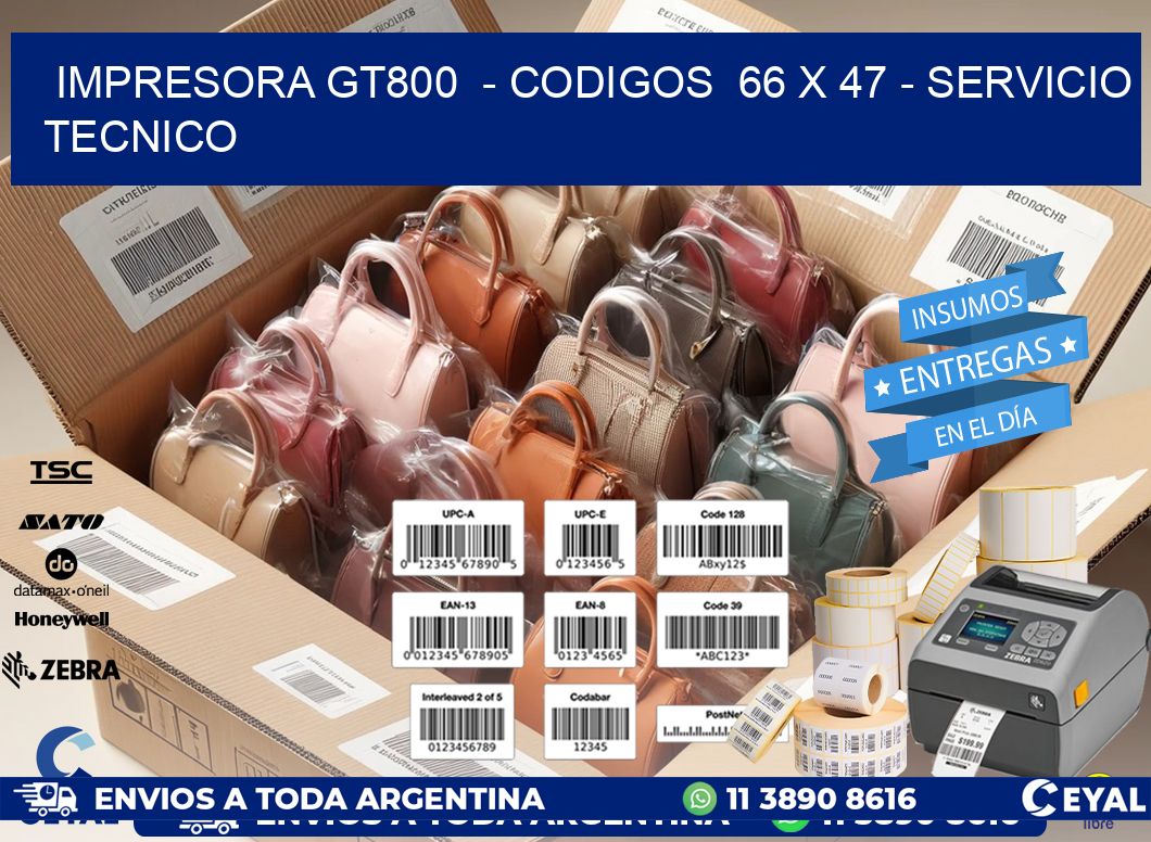 IMPRESORA GT800  - CODIGOS  66 x 47 - SERVICIO TECNICO