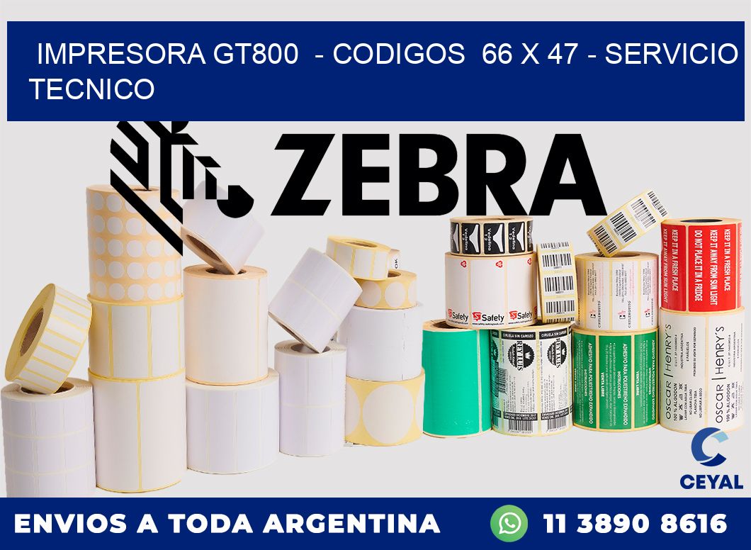 IMPRESORA GT800  - CODIGOS  66 x 47 - SERVICIO TECNICO