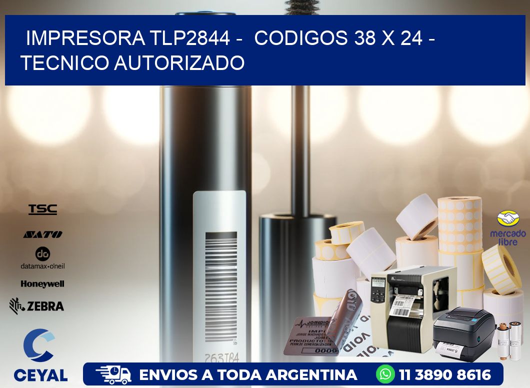 IMPRESORA TLP2844 -  CODIGOS 38 x 24 - TECNICO AUTORIZADO