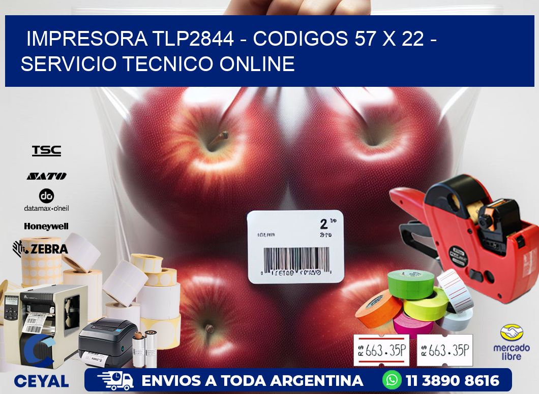 IMPRESORA TLP2844 - CODIGOS 57 x 22 - SERVICIO TECNICO ONLINE