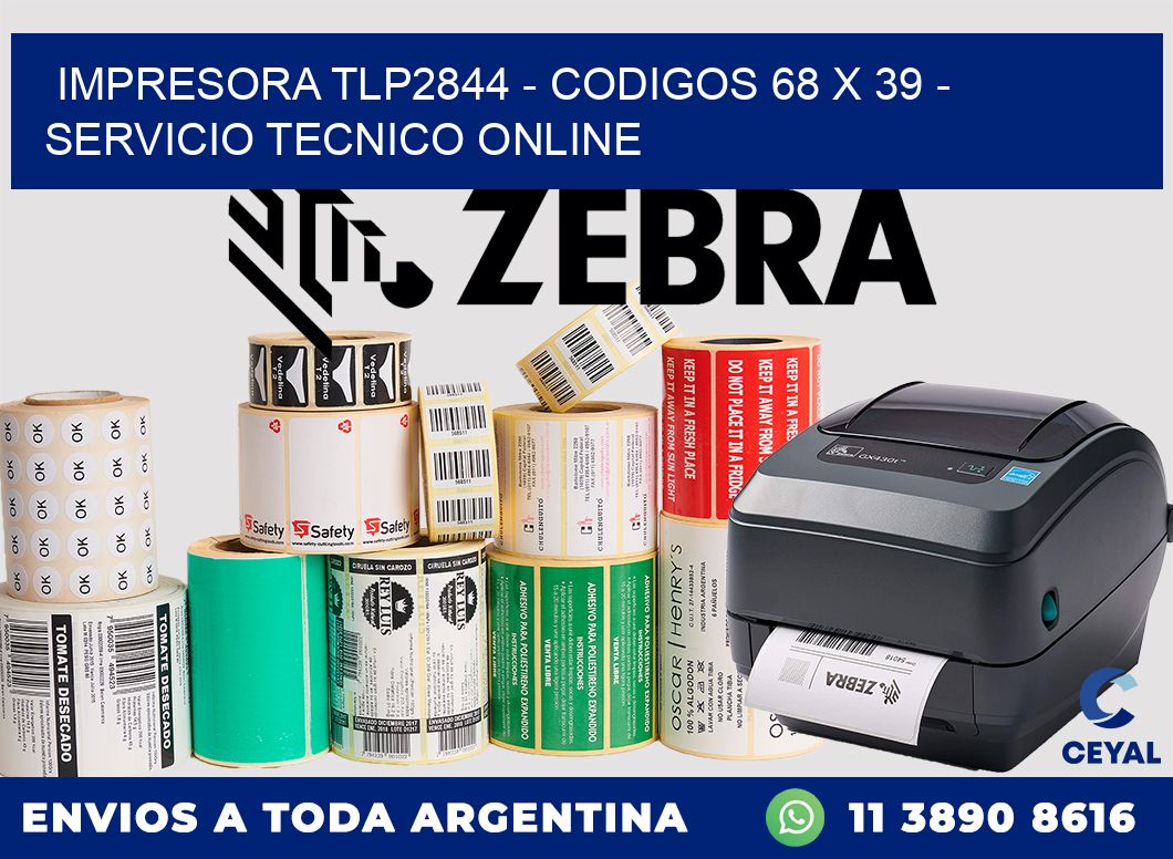 IMPRESORA TLP2844 - CODIGOS 68 x 39 - SERVICIO TECNICO ONLINE