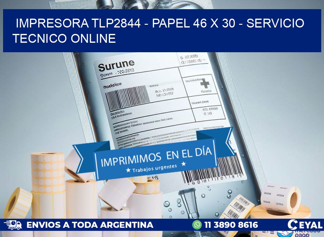 IMPRESORA TLP2844 - PAPEL 46 x 30 - SERVICIO TECNICO ONLINE