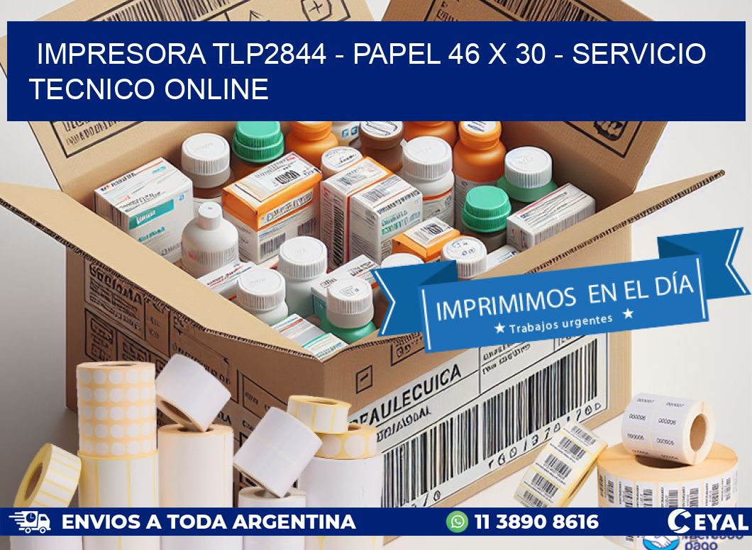 IMPRESORA TLP2844 - PAPEL 46 x 30 - SERVICIO TECNICO ONLINE