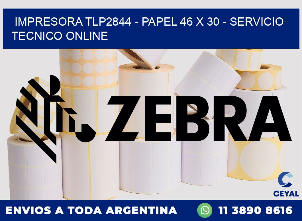 IMPRESORA TLP2844 - PAPEL 46 x 30 - SERVICIO TECNICO ONLINE