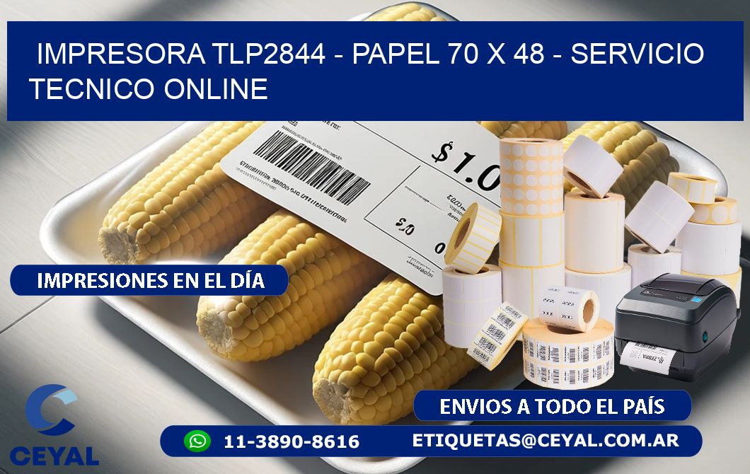 IMPRESORA TLP2844 - PAPEL 70 x 48 - SERVICIO TECNICO ONLINE