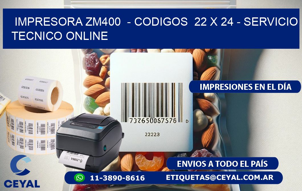 IMPRESORA ZM400  - CODIGOS  22 x 24 - SERVICIO TECNICO ONLINE