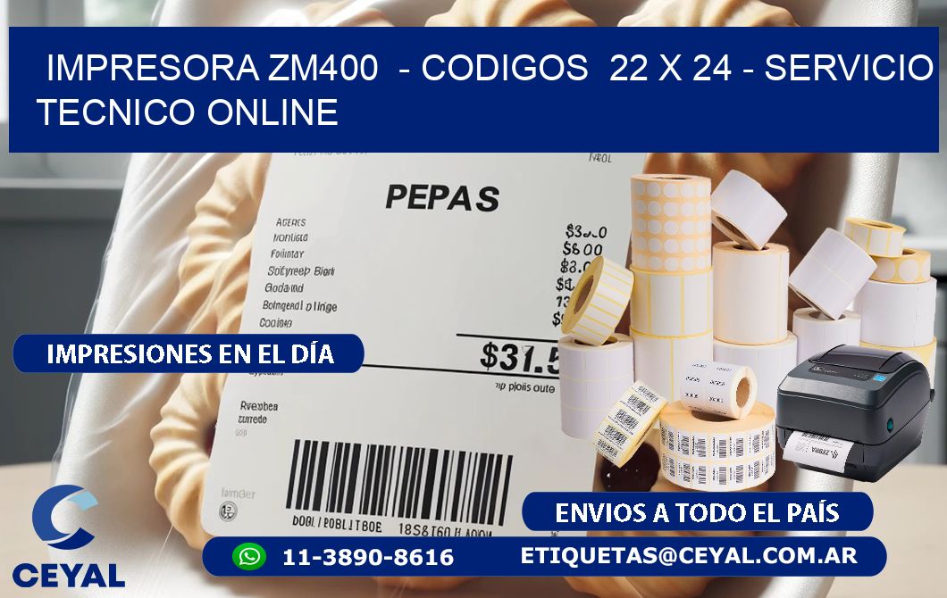 IMPRESORA ZM400  - CODIGOS  22 x 24 - SERVICIO TECNICO ONLINE