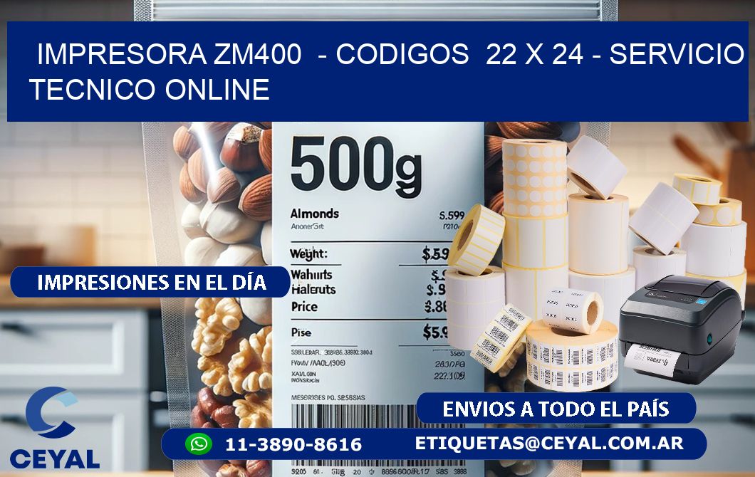 IMPRESORA ZM400  - CODIGOS  22 x 24 - SERVICIO TECNICO ONLINE