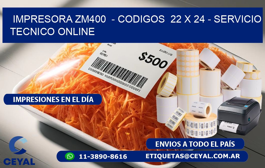 IMPRESORA ZM400  - CODIGOS  22 x 24 - SERVICIO TECNICO ONLINE