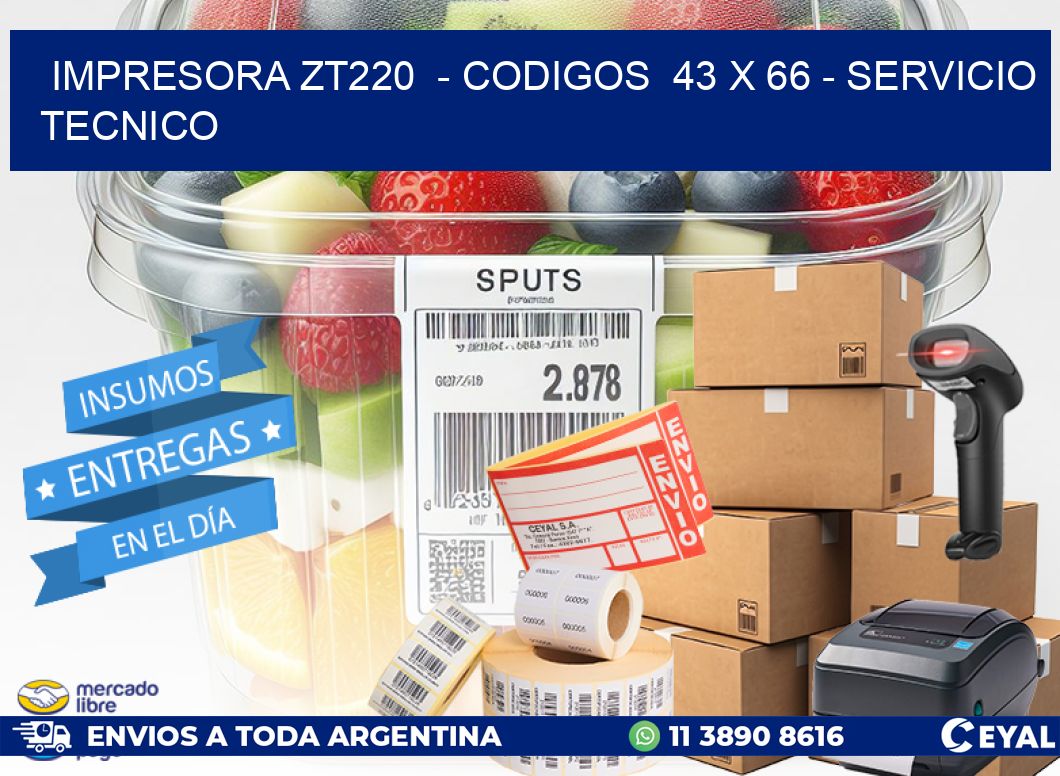 IMPRESORA ZT220  - CODIGOS  43 x 66 - SERVICIO TECNICO