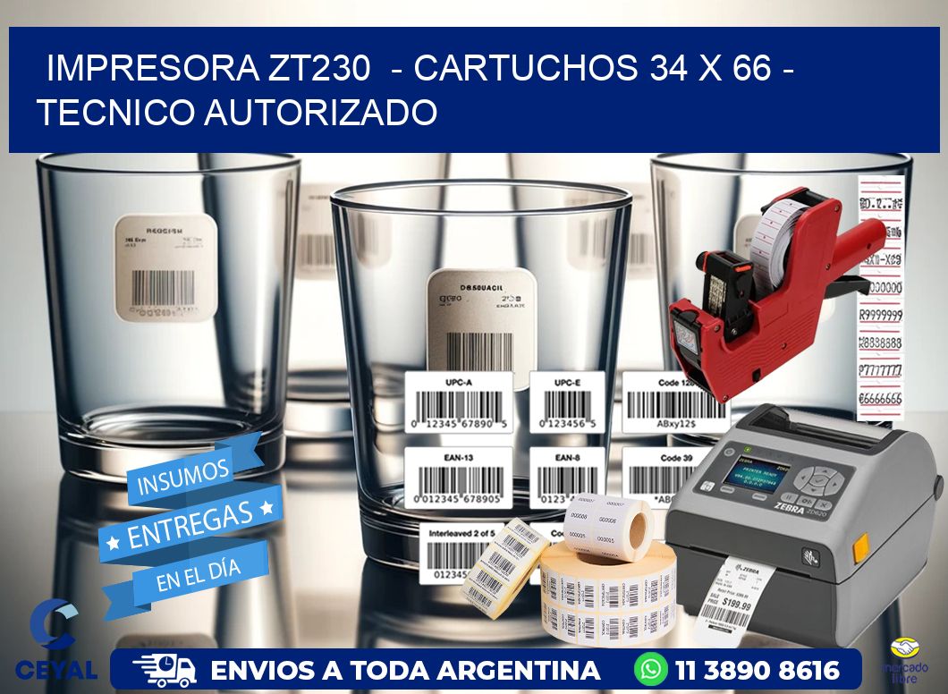 IMPRESORA ZT230  - CARTUCHOS 34 x 66 - TECNICO AUTORIZADO