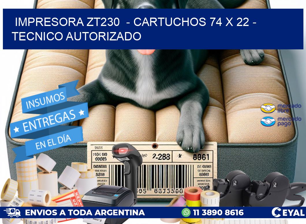 IMPRESORA ZT230  - CARTUCHOS 74 x 22 - TECNICO AUTORIZADO