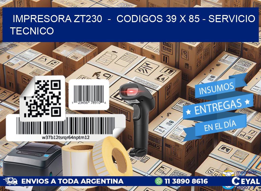 IMPRESORA ZT230  -  CODIGOS 39 x 85 - SERVICIO TECNICO