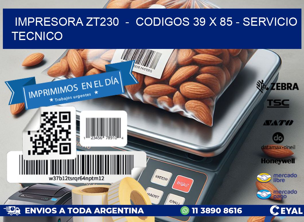 IMPRESORA ZT230  –  CODIGOS 39 x 85 – SERVICIO TECNICO