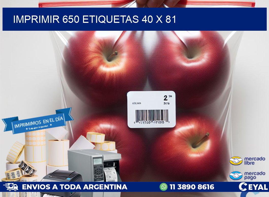 IMPRIMIR 650 ETIQUETAS 40 x 81