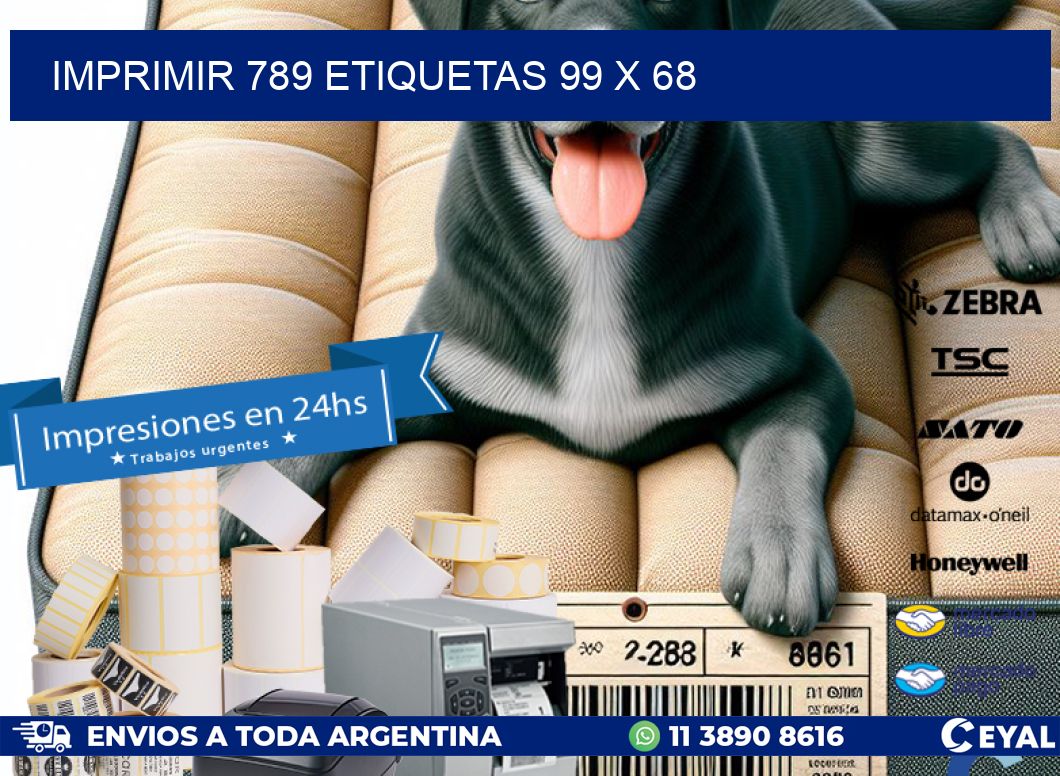 IMPRIMIR 789 ETIQUETAS 99 x 68