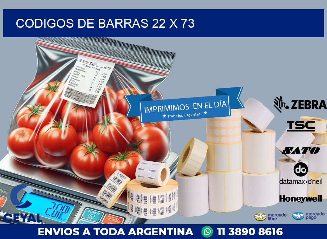 codigos de barras 22 x 73