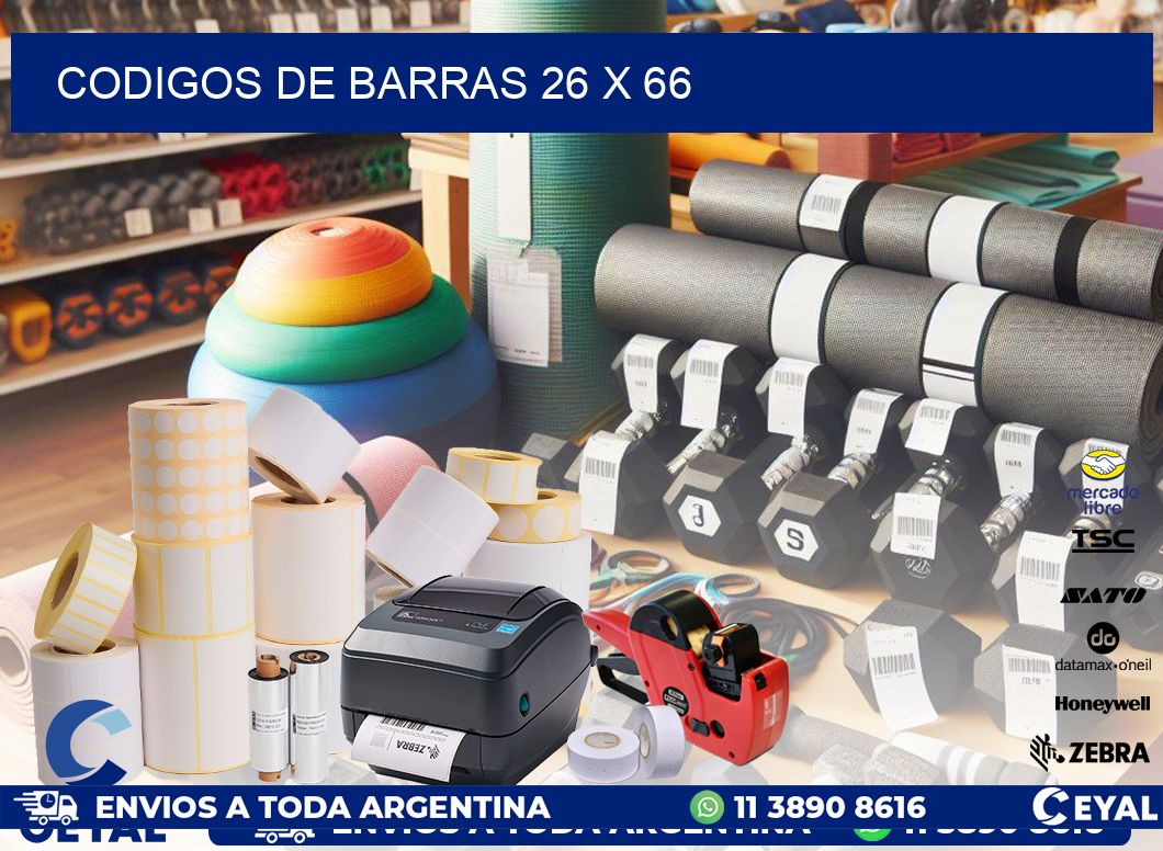 codigos de barras 26 x 66