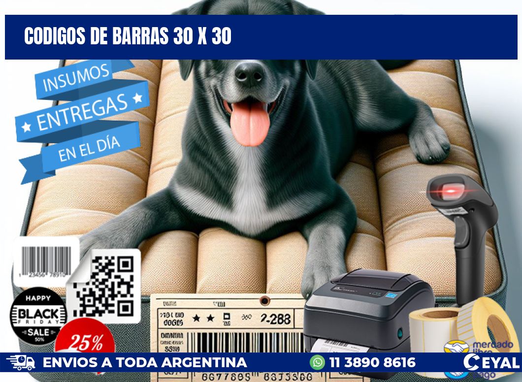 codigos de barras 30 x 30