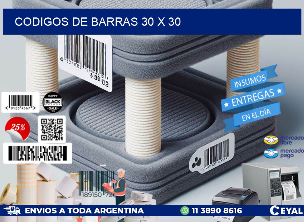 codigos de barras 30 x 30