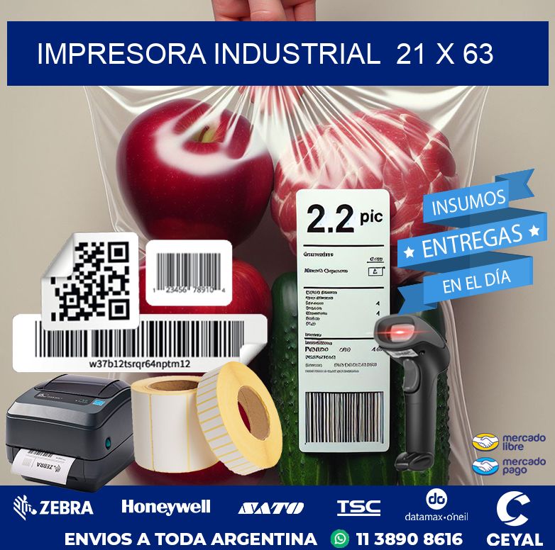 impresora industrial  21 x 63