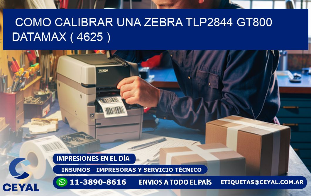 COMO CALIBRAR UNA ZEBRA TLP2844 GT800 DATAMAX ( 4625 )