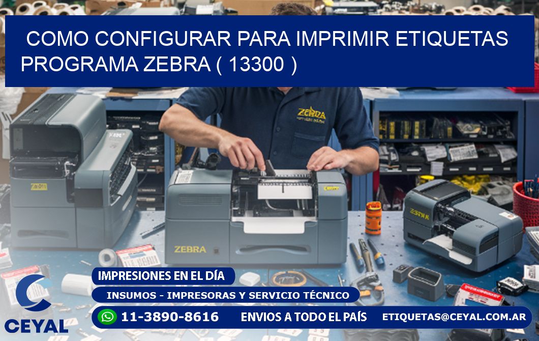 COMO CONFIGURAR PARA IMPRIMIR ETIQUETAS PROGRAMA ZEBRA ( 13300 )