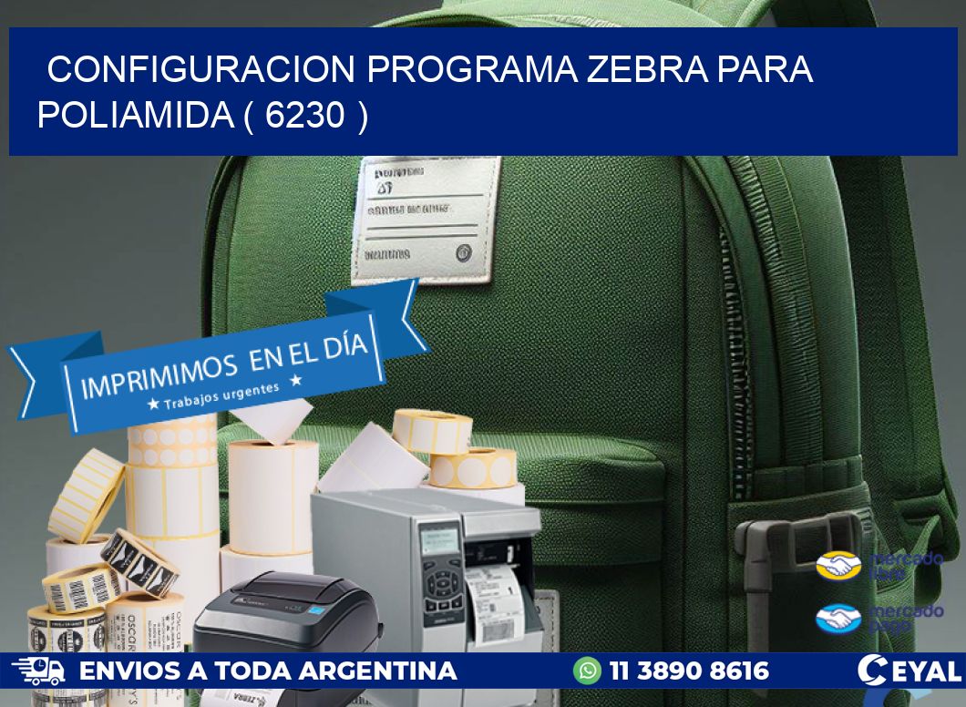 CONFIGURACION PROGRAMA ZEBRA PARA POLIAMIDA ( 6230 )