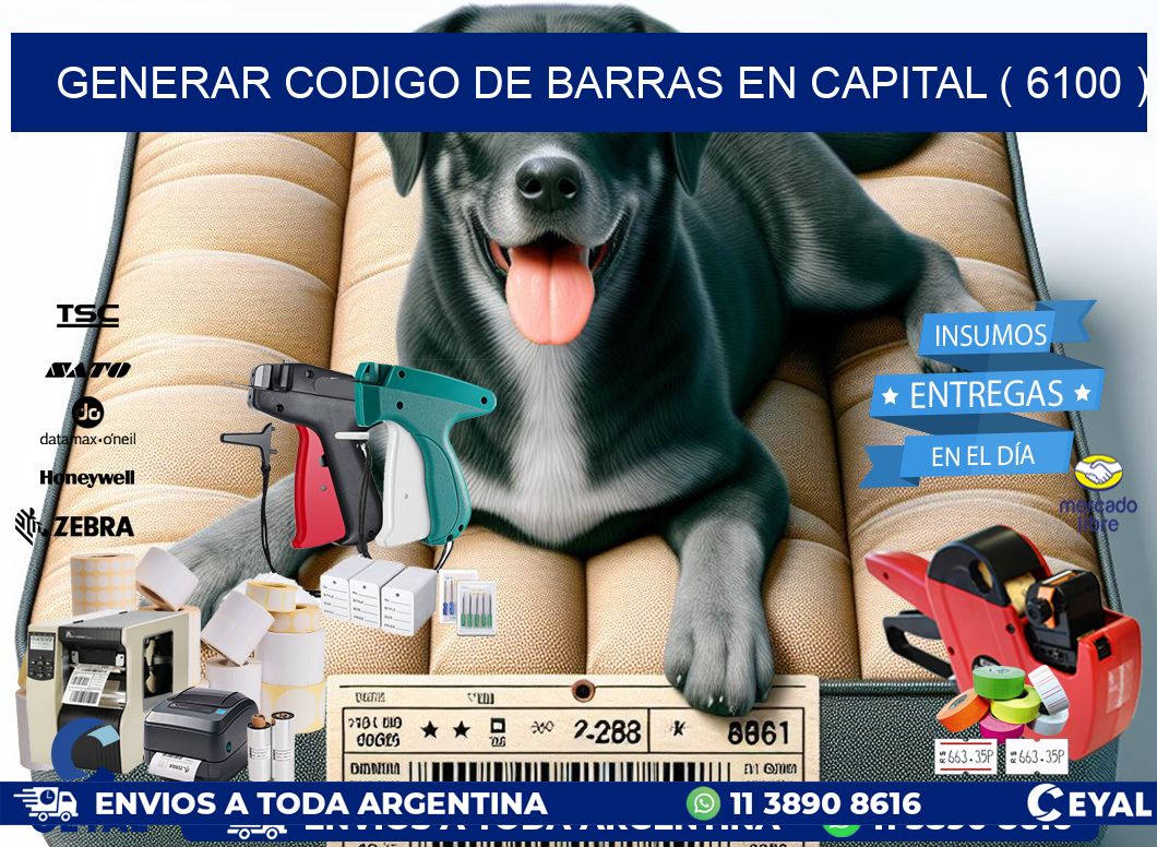 GENERAR CODIGO DE BARRAS EN CAPITAL ( 6100 )