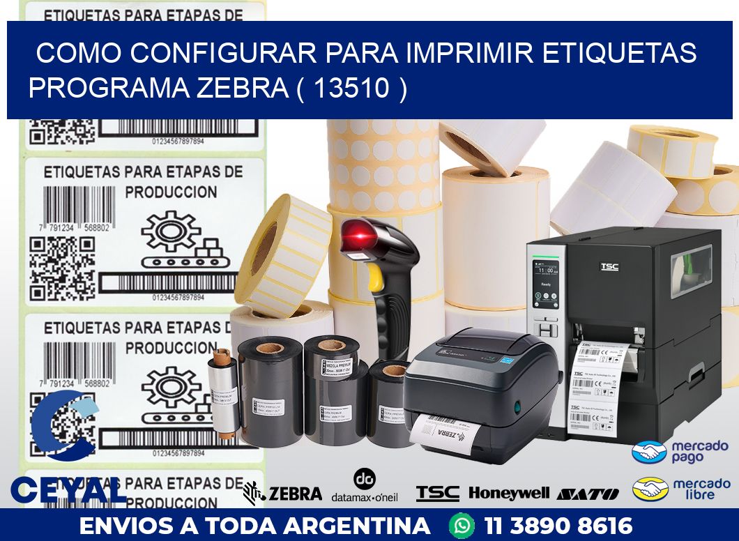 COMO CONFIGURAR PARA IMPRIMIR ETIQUETAS PROGRAMA ZEBRA ( 13510 )