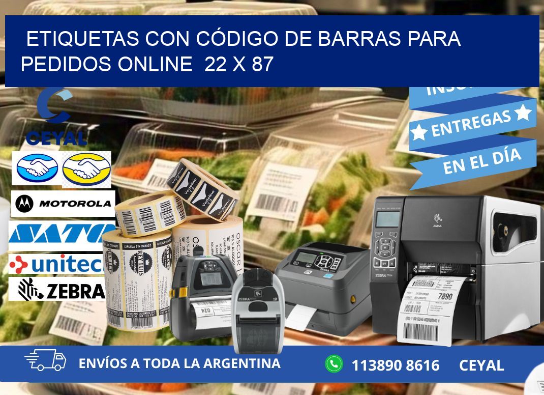 ETIQUETAS CON CÓDIGO DE BARRAS PARA PEDIDOS ONLINE  22 x 87