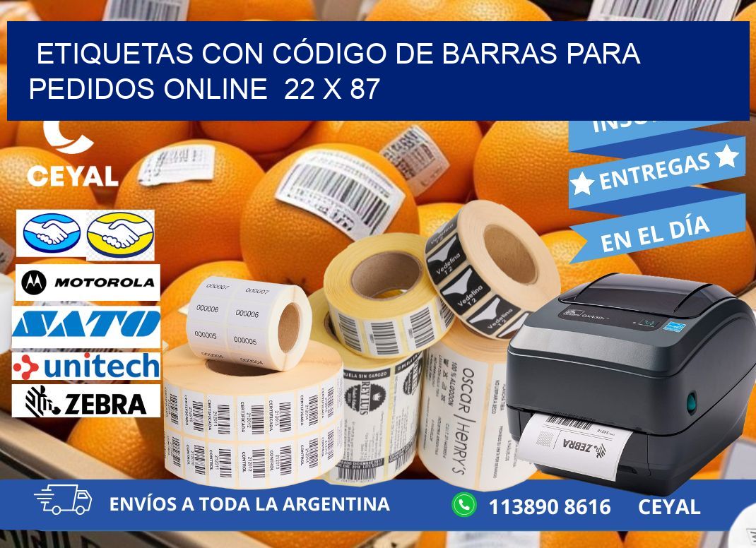 ETIQUETAS CON CÓDIGO DE BARRAS PARA PEDIDOS ONLINE  22 x 87