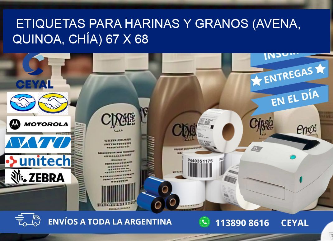 ETIQUETAS PARA HARINAS Y GRANOS (AVENA, QUINOA, CHÍA) 67 x 68